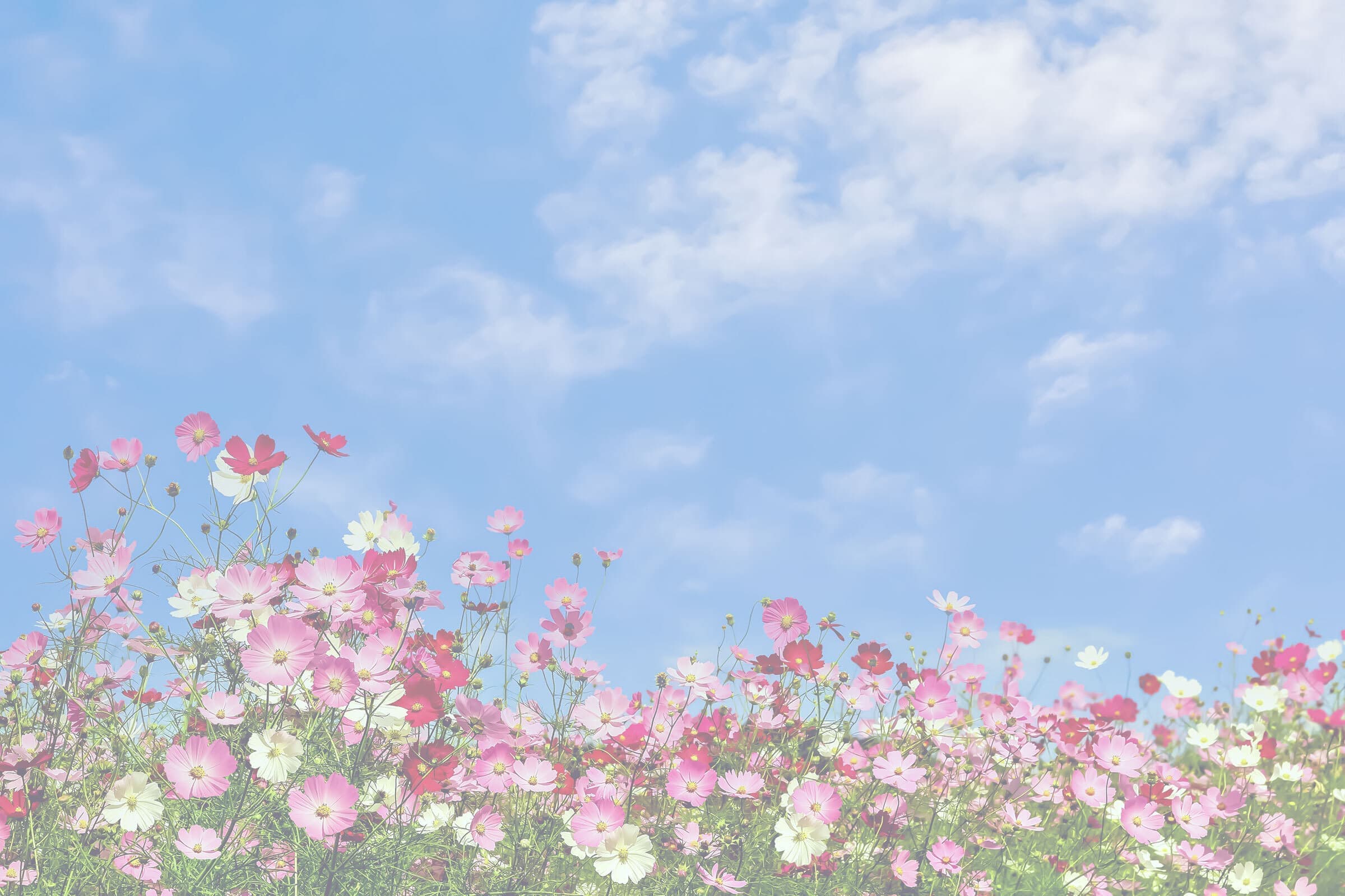 ph_slide_jumpup_04.jpg